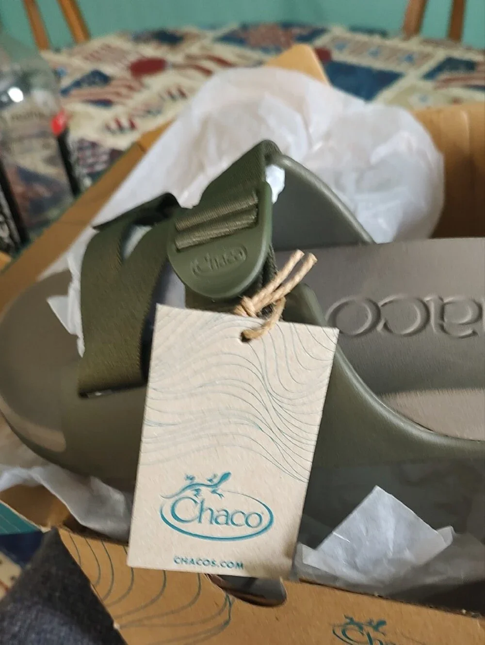 Chaco Fossil Chillios Slide in Olive